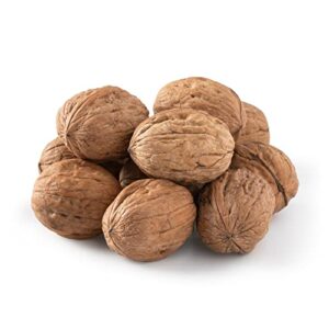 Walnuts In Shell - 6LBS